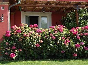 La Pecora Ladra Montalto di Castro